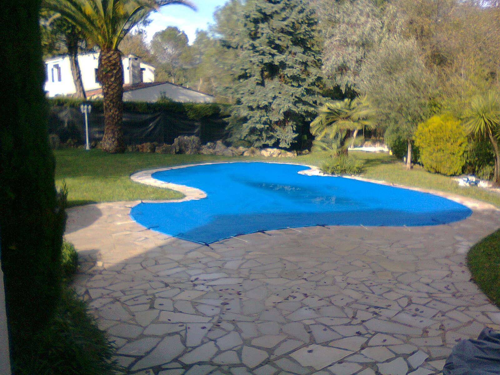 bache piscine forme haricot